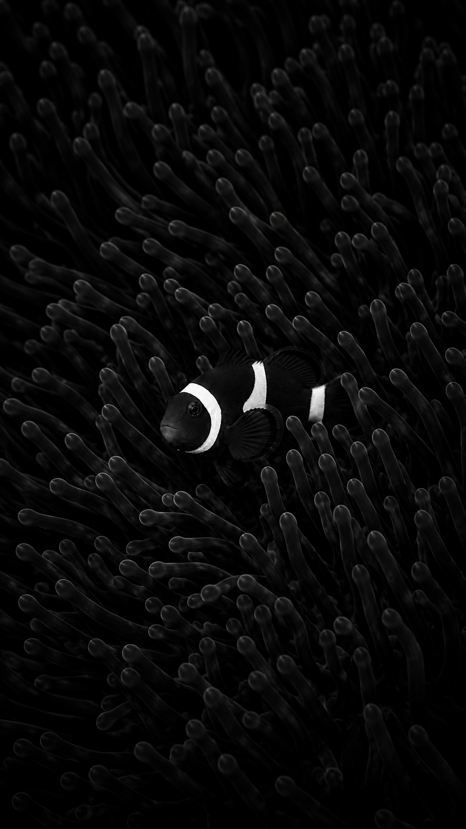 131F32AA-F9A6-4857-A81F-0BBD8DD14C82