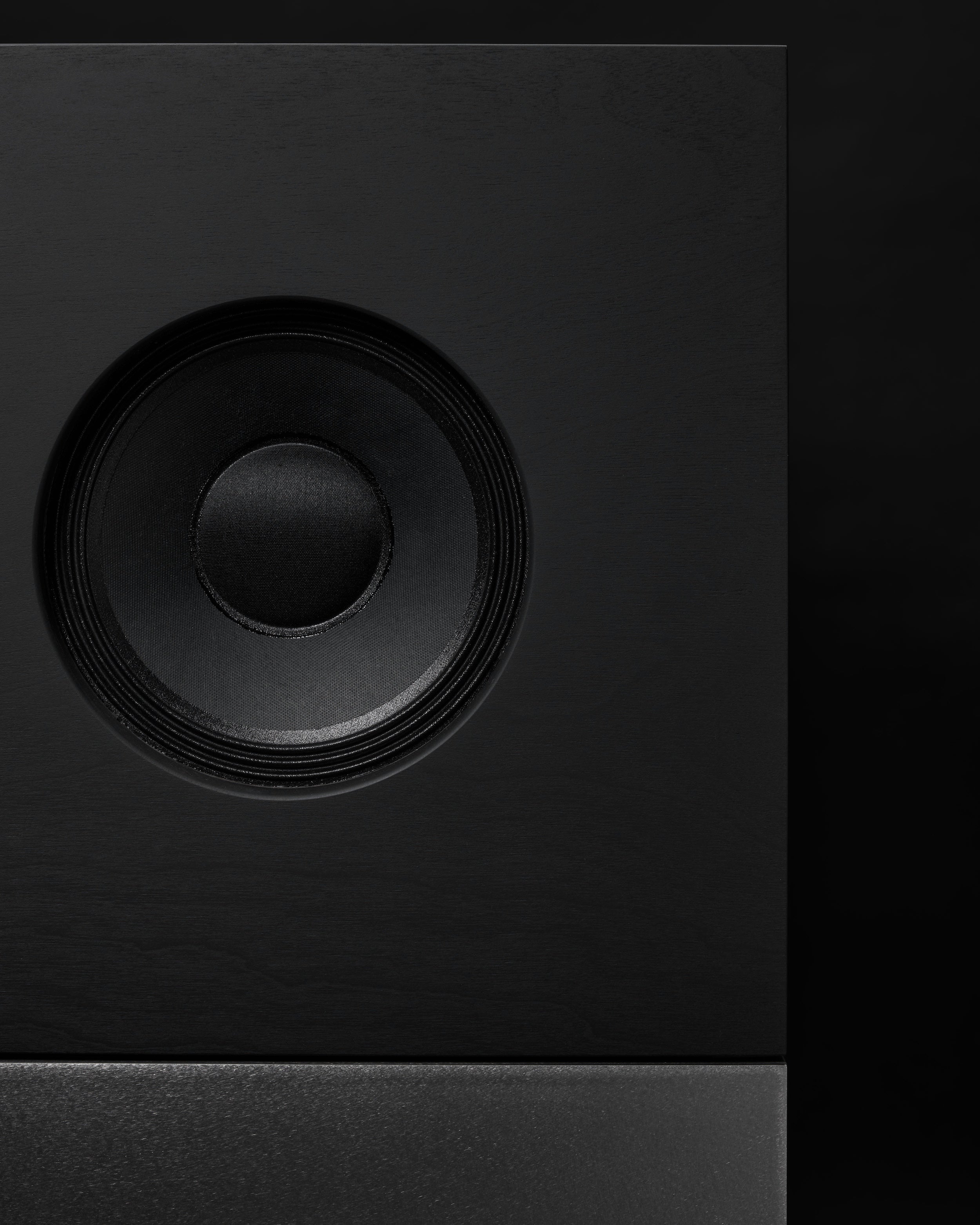 <p>Celestionの同軸ドライバーとHypexパワーアンプを搭載。42Hz〜20kHzの広い周波数特性で様々なジャンルの音楽再生に対応できる。</p>