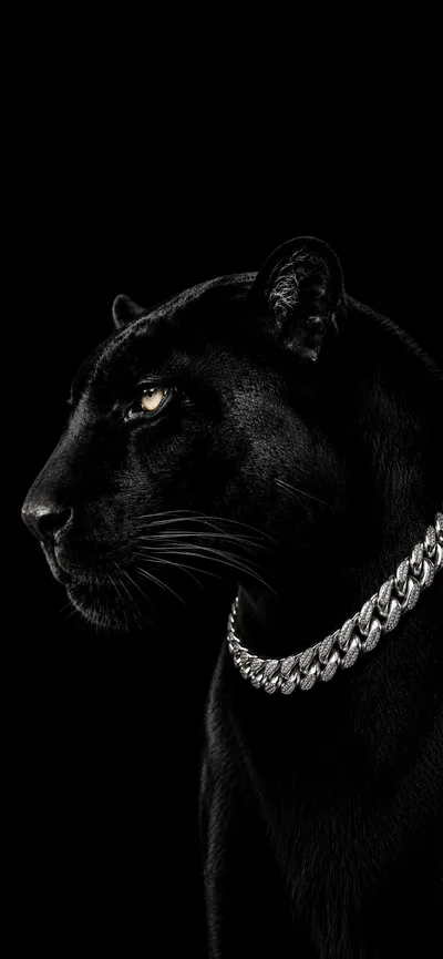 Panther
