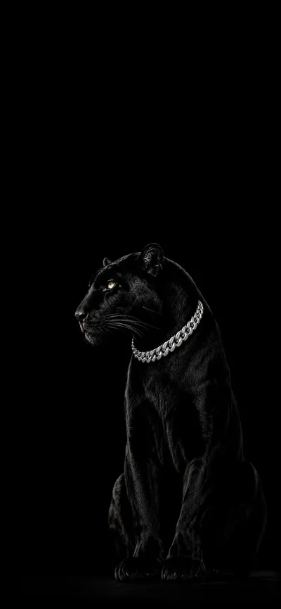 Panther