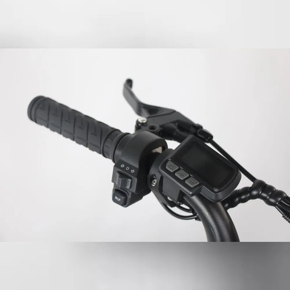 アクセル操作による走行、LCDディスプレイや機械式ディスクブレーキなど日常使いに役立つ機能を多数搭載。納車方法やアクセサリー取付も選択可能。