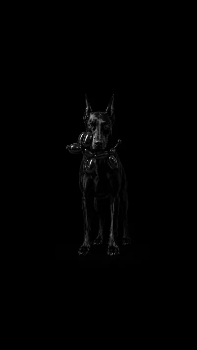 Doberman