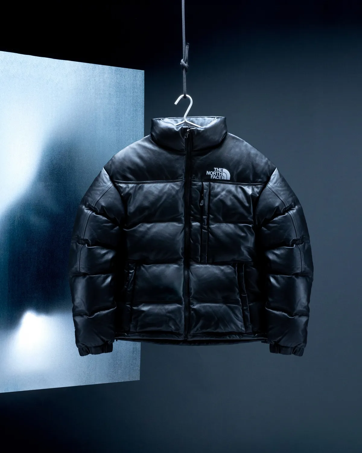 THE NORTH FACE レザーパックコレクション