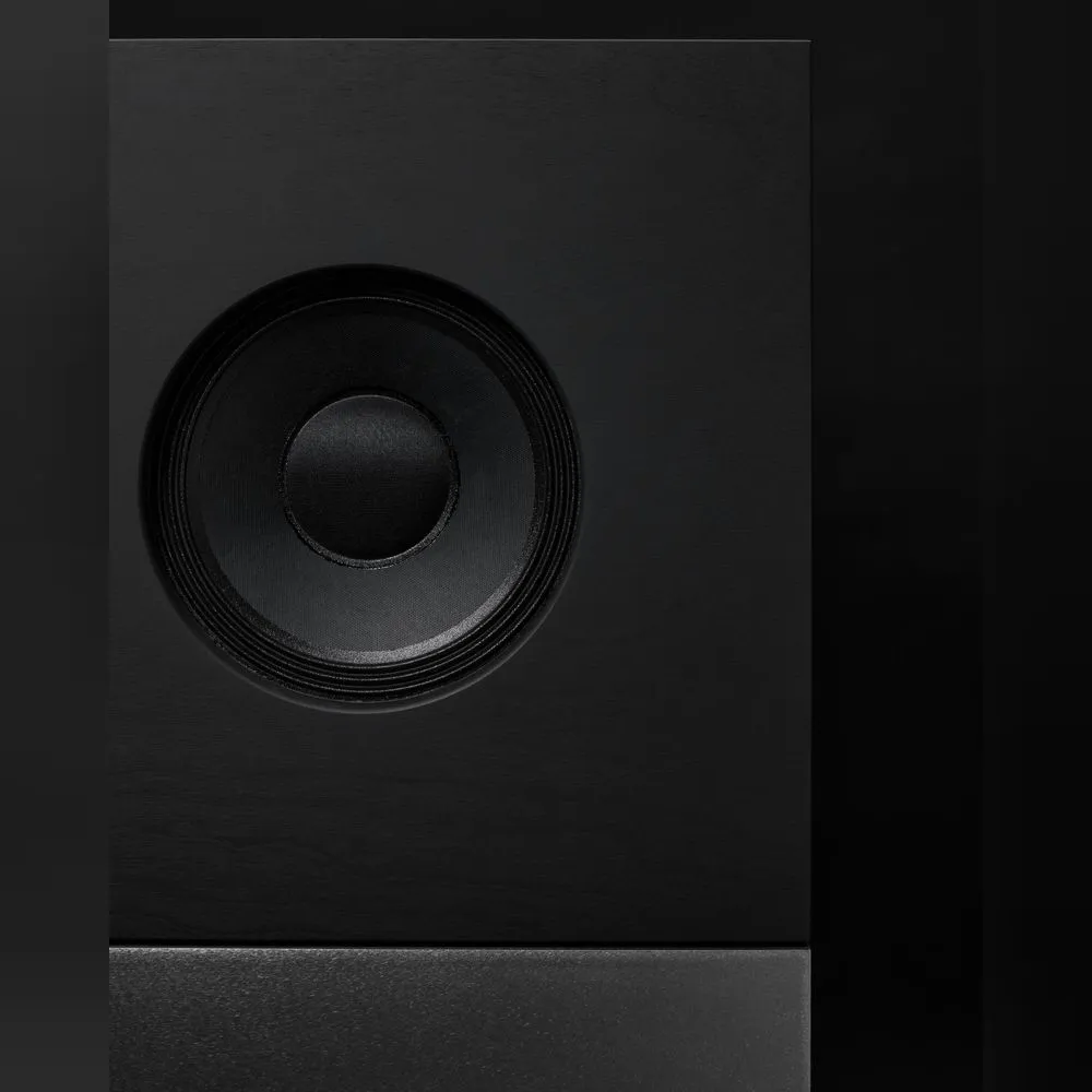 <p>Celestionの同軸ドライバーとHypexパワーアンプを搭載。42Hz〜20kHzの広い周波数特性で様々なジャンルの音楽再生に対応できる。</p>